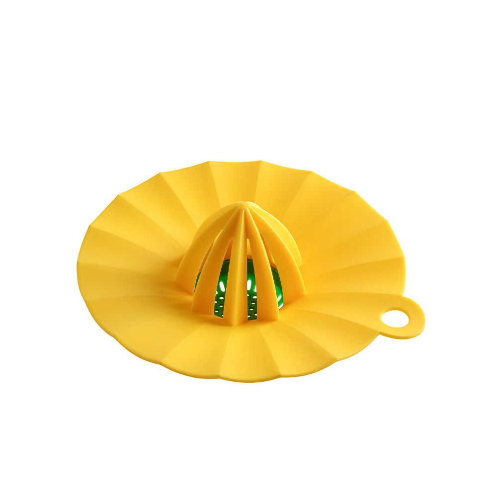 Hand Juicer