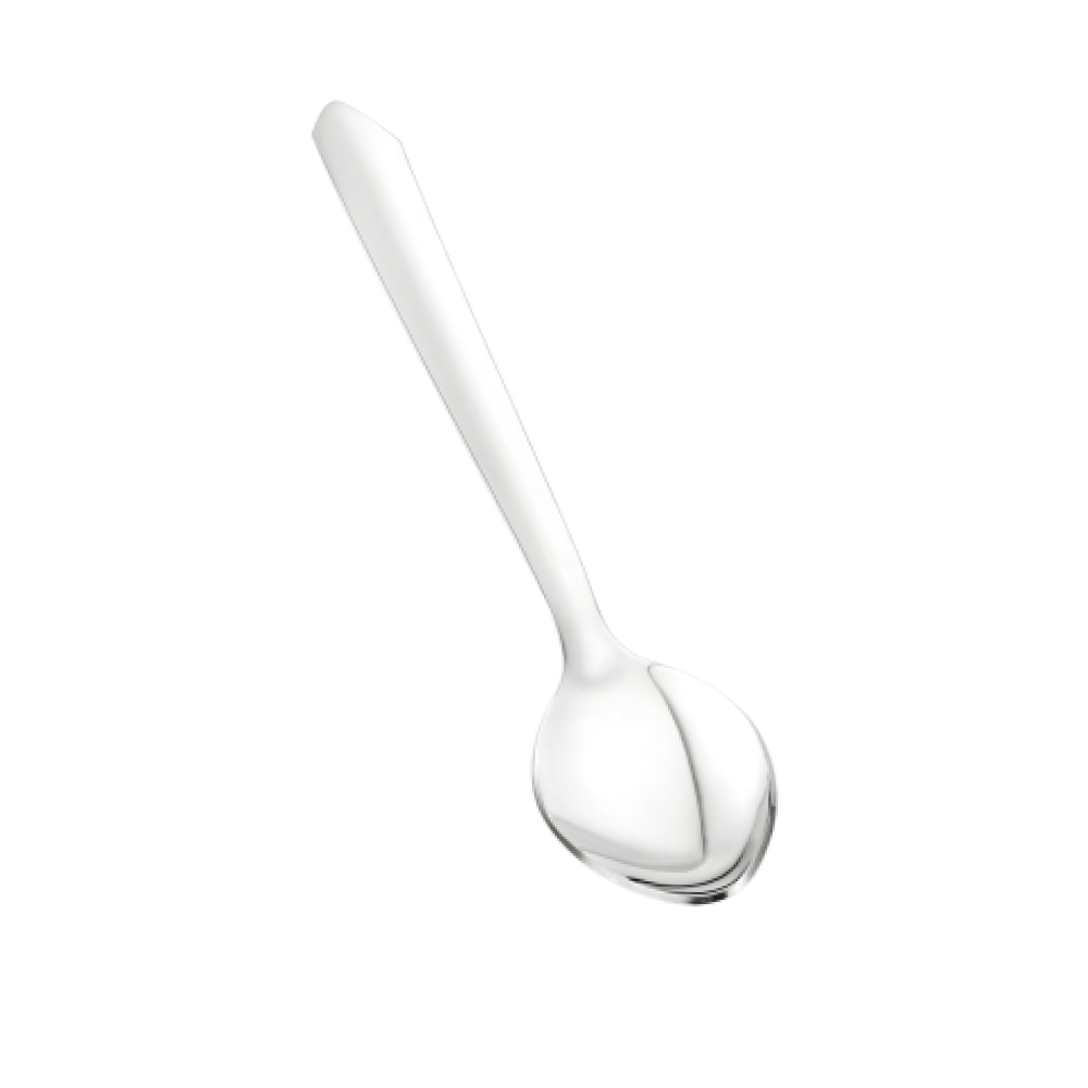 SS Tea Spoon (6Pcs.)